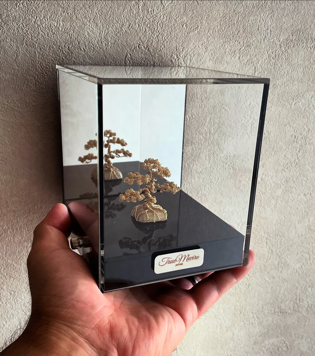 TMW-50 in a case supported by one hand, showing the scale of the artwork.