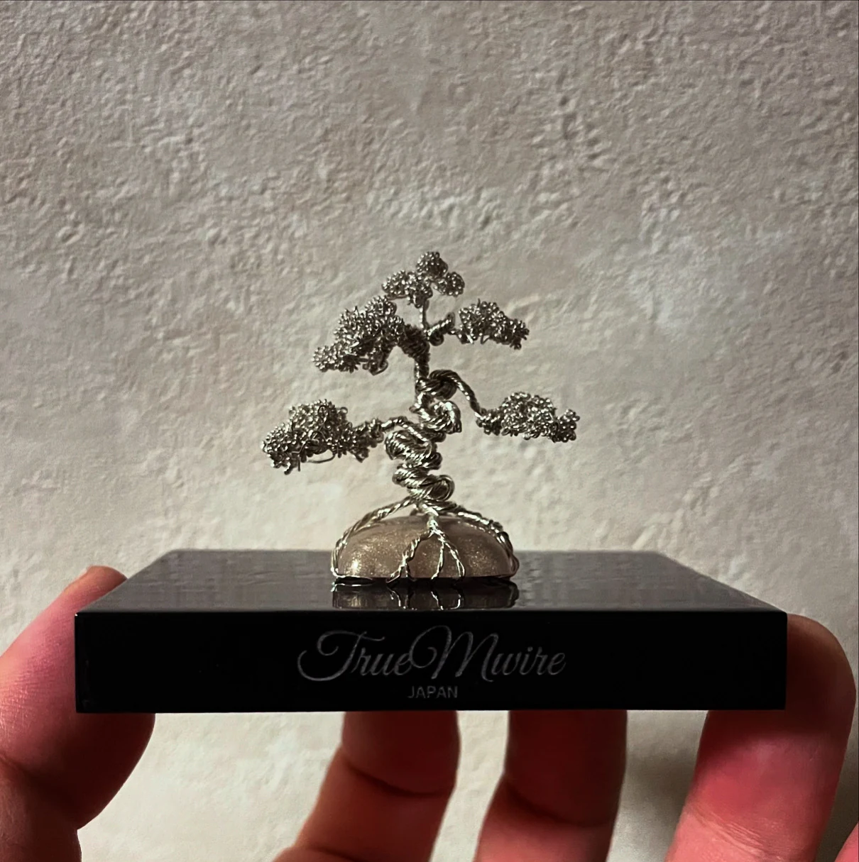 TMW-38 pure silver model